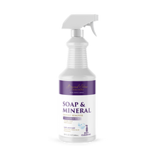 Load image into Gallery viewer, Beyond Stone Solutions Soap &amp; Mineral Deposit Remover 32 oz spray bottle